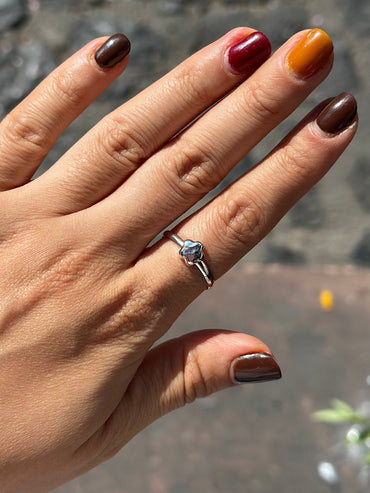 Anillo "Litza" MINI - Varios Acabados