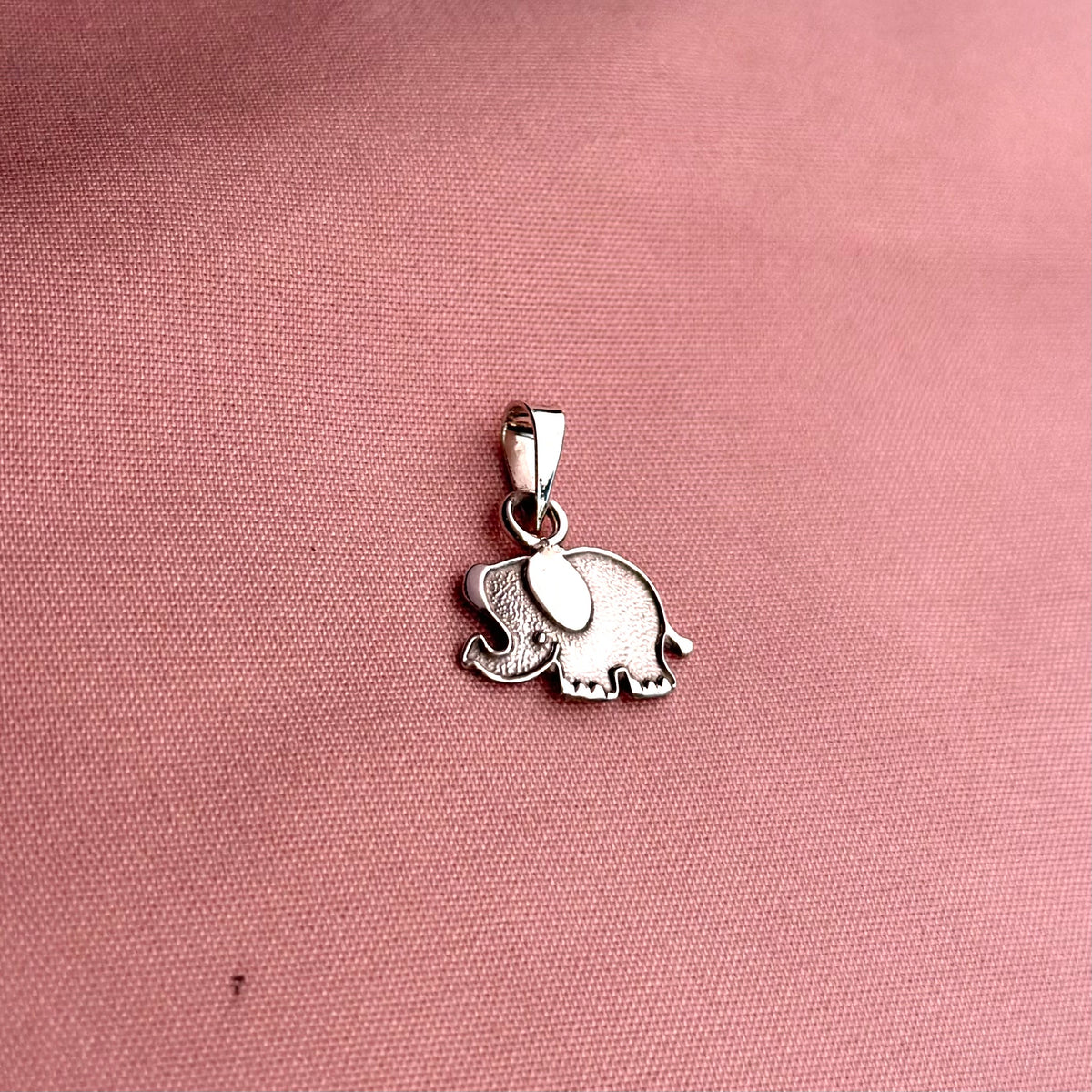 Dije individual "Pasitos de Gigante" - Elefante