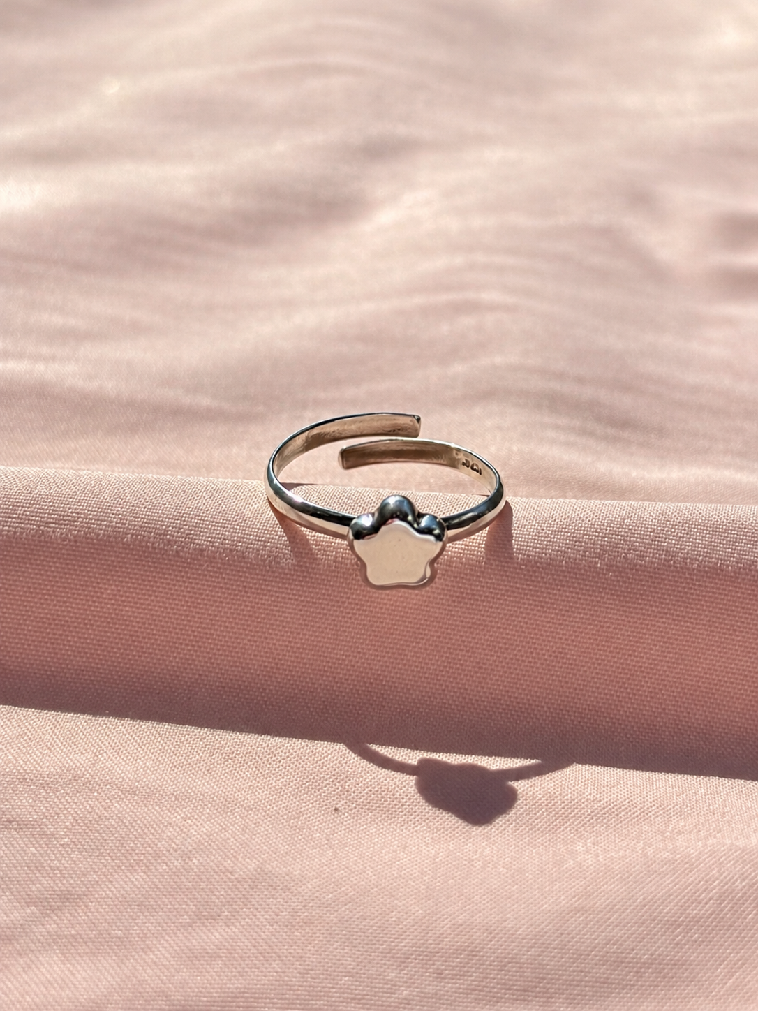Anillo "Litza" - Varios Acabados
