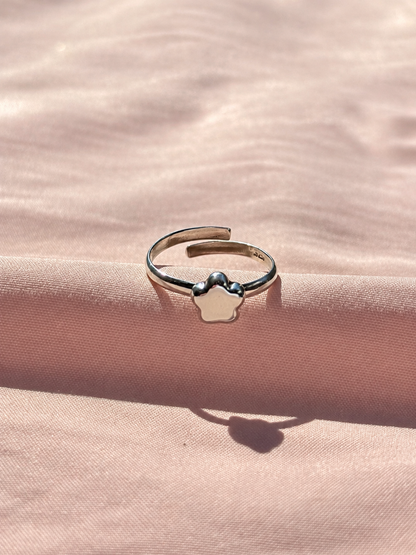 Anillo "Litza" - Varios Acabados